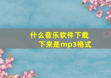 什么音乐软件下载下来是mp3格式