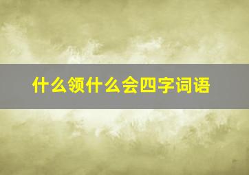 什么领什么会四字词语