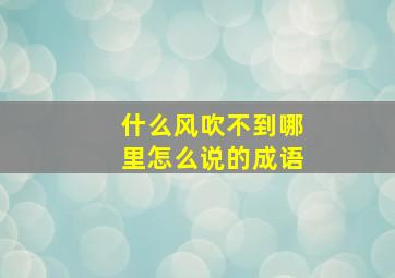 什么风吹不到哪里怎么说的成语