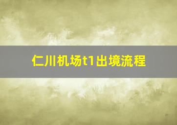 仁川机场t1出境流程