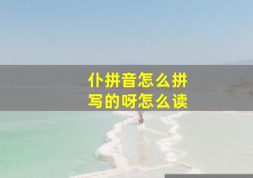 仆拼音怎么拼写的呀怎么读