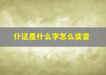 仆这是什么字怎么读音