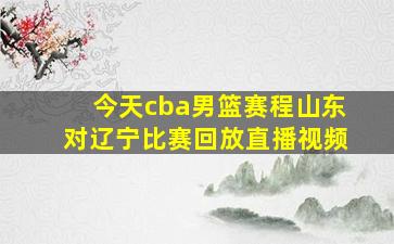 今天cba男篮赛程山东对辽宁比赛回放直播视频