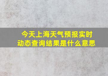 今天上海天气预报实时动态查询结果是什么意思