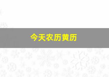 今天农历黄历