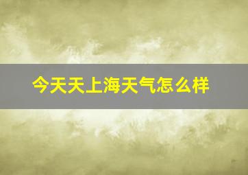 今天天上海天气怎么样