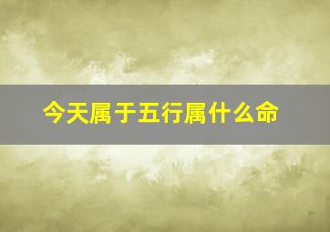 今天属于五行属什么命