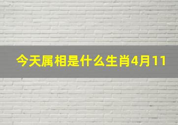 今天属相是什么生肖4月11