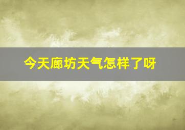 今天廊坊天气怎样了呀