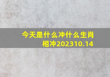 今天是什么冲什么生肖相冲202310.14