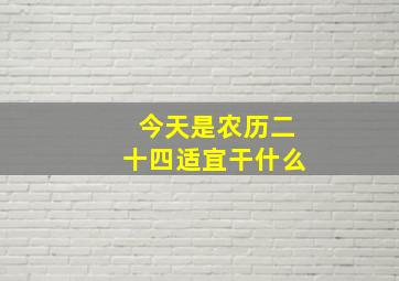 今天是农历二十四适宜干什么