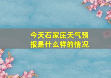 今天石家庄天气预报是什么样的情况