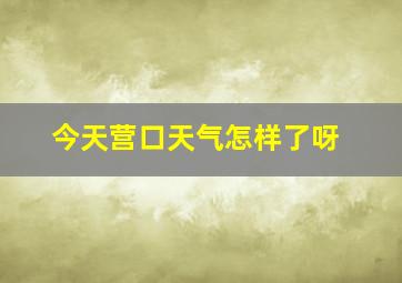 今天营口天气怎样了呀