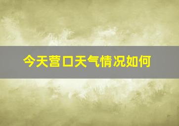 今天营口天气情况如何