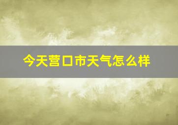 今天营口市天气怎么样