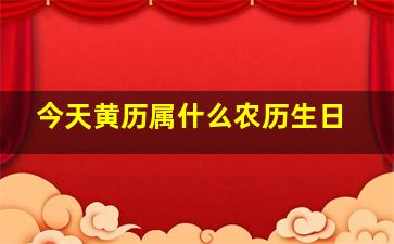 今天黄历属什么农历生日