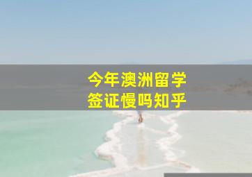 今年澳洲留学签证慢吗知乎