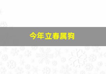 今年立春属狗