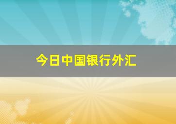 今日中国银行外汇