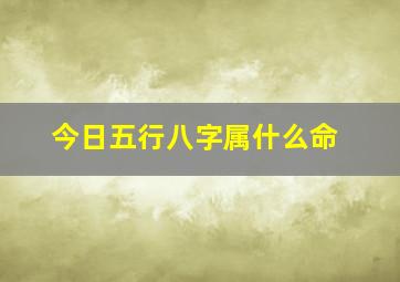 今日五行八字属什么命