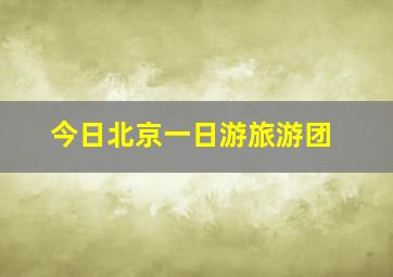 今日北京一日游旅游团