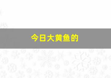 今日大黄鱼的