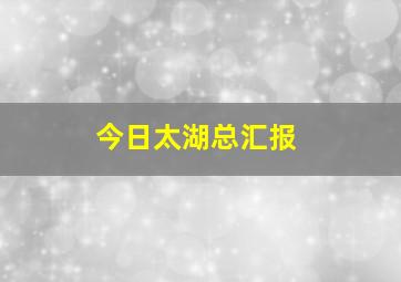 今日太湖总汇报