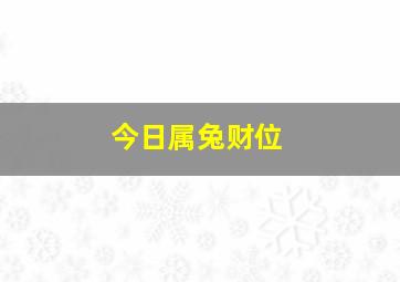 今日属兔财位