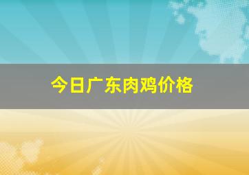 今日广东肉鸡价格