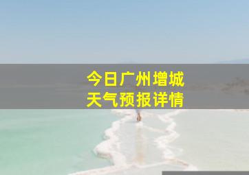 今日广州增城天气预报详情