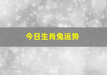 今日生肖兔运势