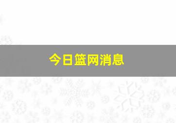 今日篮网消息