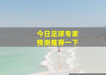 今日足球专家预测推荐一下