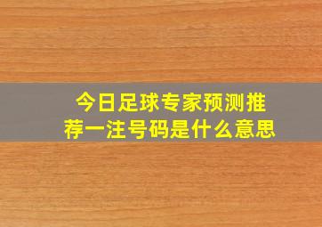 今日足球专家预测推荐一注号码是什么意思