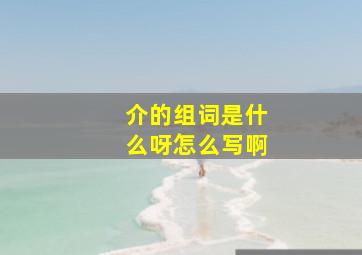 介的组词是什么呀怎么写啊