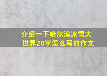 介绍一下哈尔滨冰雪大世界20字怎么写的作文