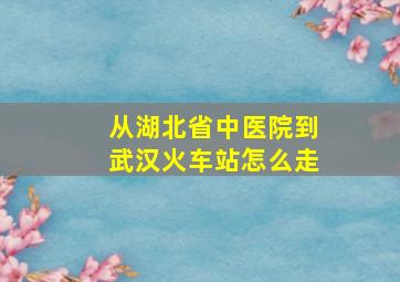 从湖北省中医院到武汉火车站怎么走