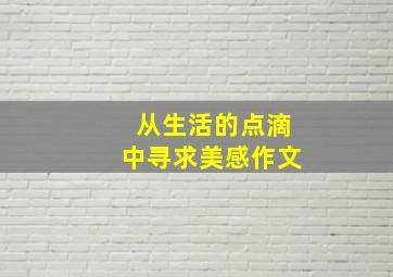 从生活的点滴中寻求美感作文