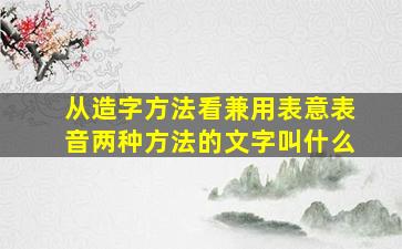 从造字方法看兼用表意表音两种方法的文字叫什么