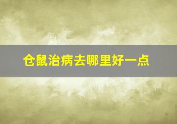 仓鼠治病去哪里好一点