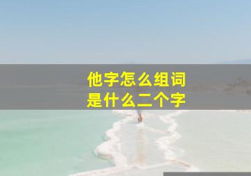 他字怎么组词是什么二个字