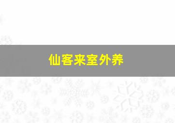 仙客来室外养