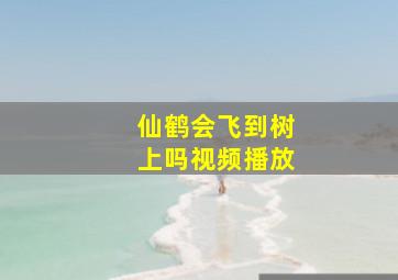 仙鹤会飞到树上吗视频播放