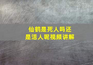 仙鹤是死人吗还是活人呢视频讲解