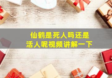 仙鹤是死人吗还是活人呢视频讲解一下