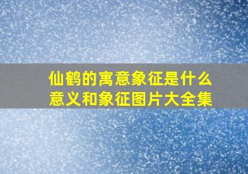 仙鹤的寓意象征是什么意义和象征图片大全集