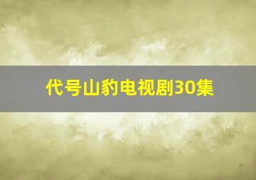 代号山豹电视剧30集