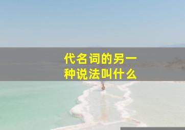 代名词的另一种说法叫什么