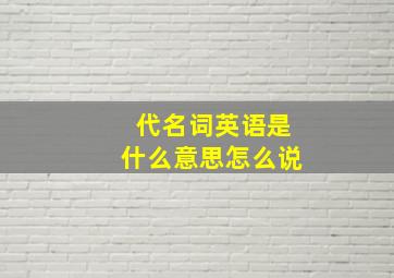 代名词英语是什么意思怎么说