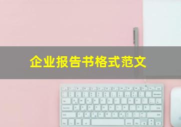 企业报告书格式范文